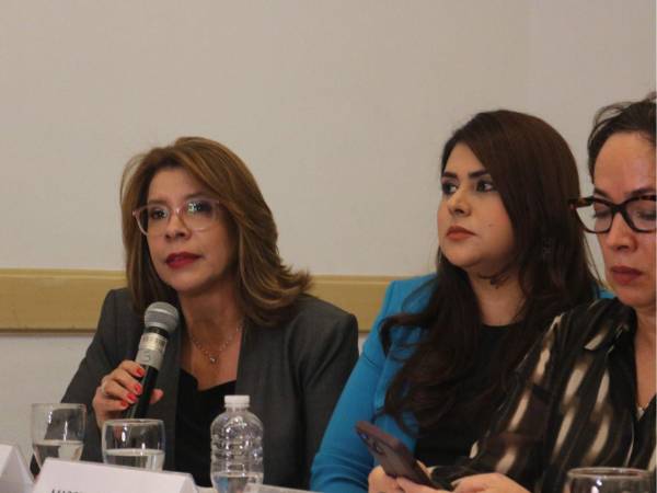 La exdirectora de fiscales, Danelia Ferrera, y la exministra de Seguridad, Marcela Castañeda, figuran entre las profesionales del derecho que participaron en la elaboración del informe.