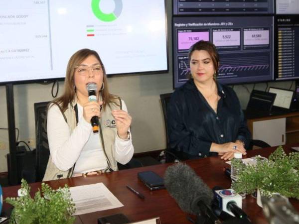 El memorado fue firmado únicamente por las consejeras Ana Paola Hall y Cossette López.