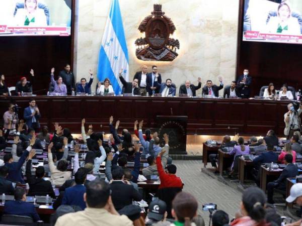 La falta de sesiones en el Congreso Nacional mantiene paralizados temas clave como el presupuesto electoral y los ascensos militares, mientras la oposición advierte que se autoconvocará si no hay convocatoria oficial.