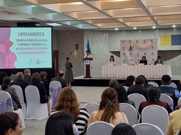 La magistrada Rubenia Esperanza Galeano informó que Cortés y Francisco Morazán registran el 50% de las denuncias por violencia doméstica en el país.