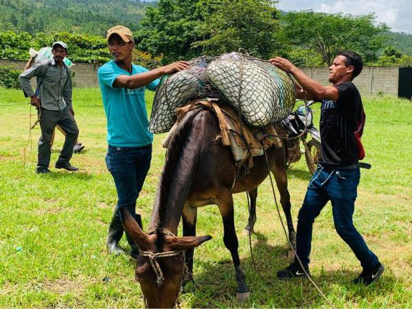 Los Bonos fueron entregados a campesinos de diversas comunidades del departamento de Yoro.