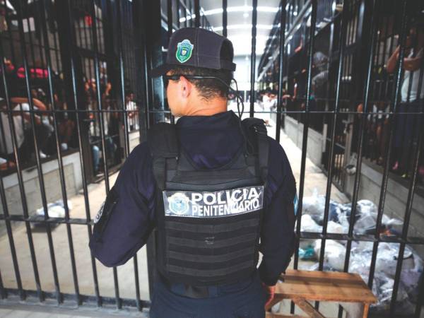 Las reformas penales y penitenciarias aprobadas por el Congreso Nacional contemplan la creación de una Fuerza Especial Penitenciaria para reforzar la seguridad y el control en las cárceles de máxima seguridad.