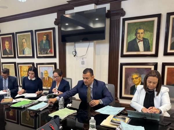 La Sala Constitucional desautorizó a la presidenta de la CSJ nombrar un ministro de fe pública que conozca escritos y recursos durante el periodo vacacional.