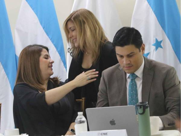 El pleno de consejeros aprobó esta noche el Reglamento de Observación Electoral.