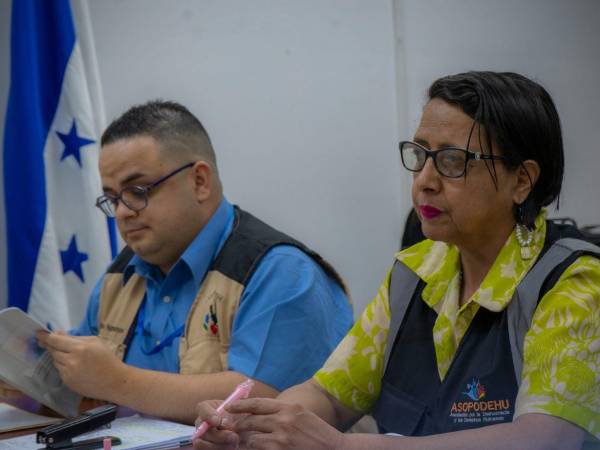Jorge Jiménez y Dina Meza, representantes de organizaciones de derechos humanos que han expresado preocupaciones sobre decisiones en el sistema de protección.