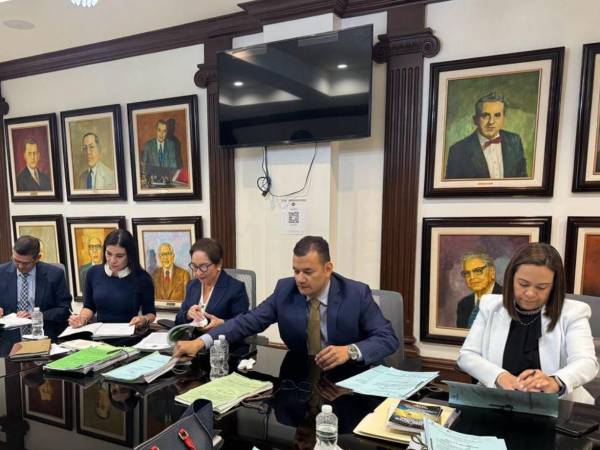 La Sala Constitucional admitió a trámite los recursos interpuestos contra el decreto impulsado por Luis Redondo.