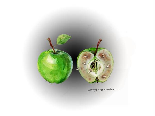 Los funcionarios públicos, signo de interrogación