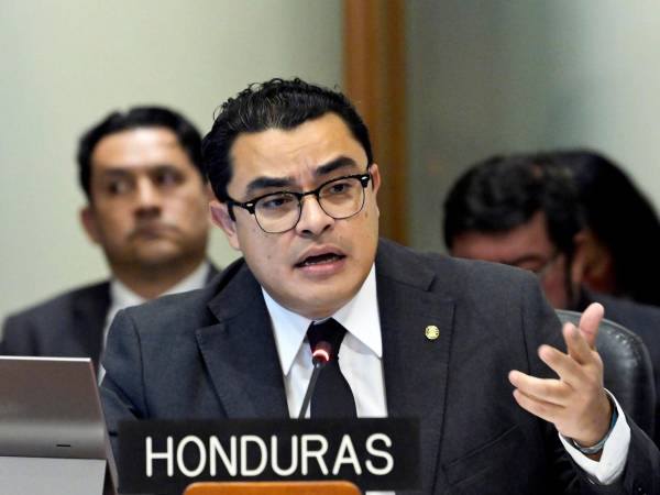 Gerardo Torres, vicecanciller, fue parte de la delegación que defendió la postura de Honduras ante la comisión de la OEA.