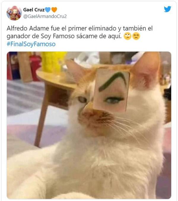 Memes sin piedad: Alfredo Adame se vuelve tendencia tras un millón de pesos en reality