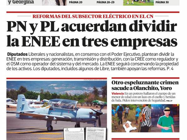 PN y PL acuerdan dividir la ENEE en tres empresas