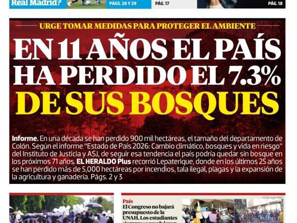 En 11 años el país ha perdido el 7.3% de sus bosques