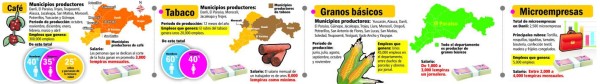 Sector agrícola acapara mayoría de plazas laborales en El Paraíso