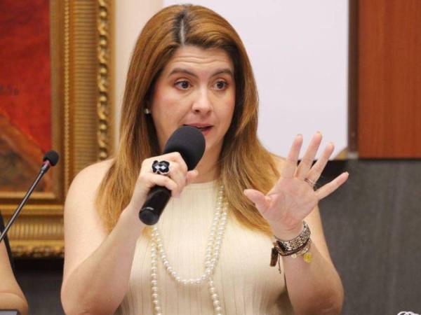 López confirmó que el proceso avanza, pues tuvieron dos semanas para conocer las propuestas para el TREP.