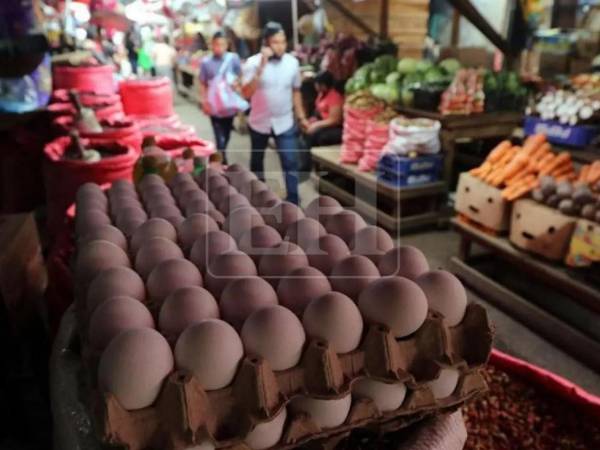 Señaló que los precios han subido entre 500 y 700 lempiras en lo que va del año, influenciados por factores internacionales como el conflicto en Medio Oriente, y advirtió que en Honduras los precios suben cuando el mercado global aumenta, pero rara vez bajan.