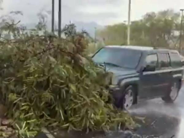 Reportera queda herida tras ser arrollada mientras cubría un deslave en Monterrey.
