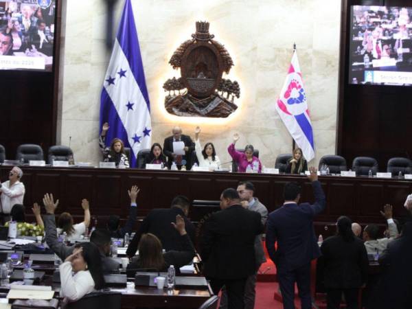 La propuesta fue presentada por la vicepresidenta del Congreso Nacional, Karla Figueroa (La primera a la izquierda de la fotografía).