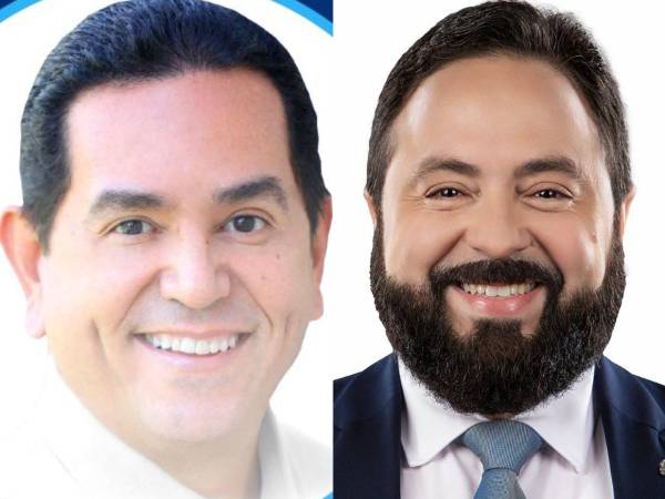 Son varios los diputados que llevan más de una década en el Poder Legislativo y que pretenden ampliar su estancia reelegiéndose en las elecciones generales de 2025. Conózcalos a continuación.