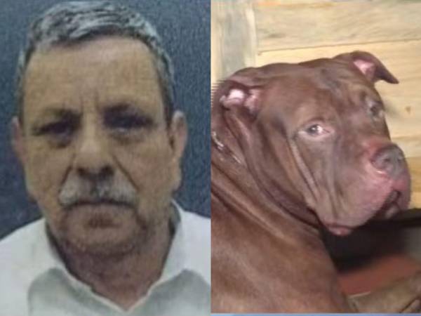 Una tragedia ocurrió en el sector 4 de la colonia Hato de Enmedio, en Tegucigalpa, Distrito Central, cuando un perro de raza pitbull mató a su dueño y dejó herido a su hijo dentro de su propia vivienda.