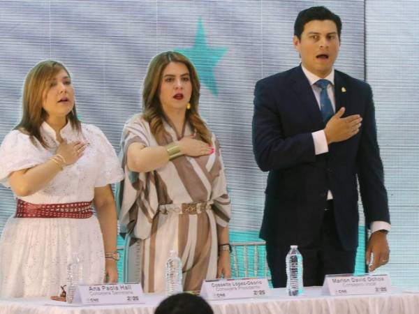 La votación para acreditar a las organizaciones no fue unánime en el CNE, según funcionarios.