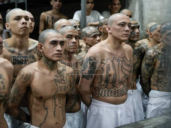Es un hecho: Honduras construirá una cárcel inspirada en el modelo penitenciario del Centro de Confinamiento del Terrorismo (Cecot), en El Salvador, según confirmó Kilvett Bertrand, presidente de la Comisión de Defensa Nacional del Congreso Nacional.