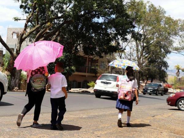 Esta semana los estudiantes de los centros educativos públicos recibirán clases virtuales por el intenso calor.