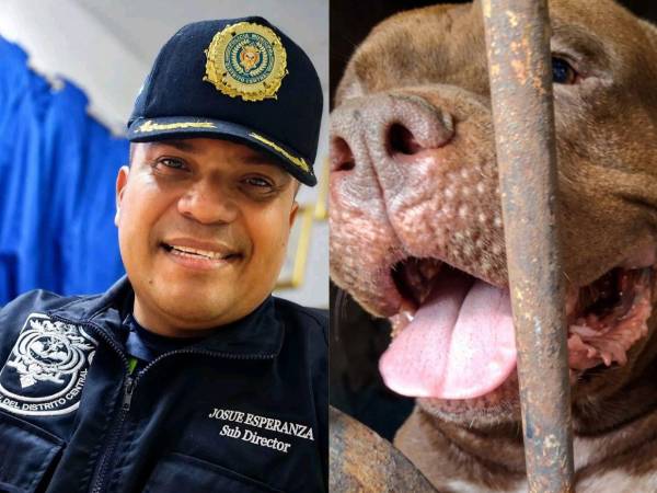 Josué Esperanza, subdirector de la Policía Municipal del Distrito Central, se convirtió en una de las figuras más comentadas en redes sociales luego de su reacción durante el Caso Zeus, perro pitbull involucrado en la muerte de un adulto mayor en la colonia Hato de Enmedio.