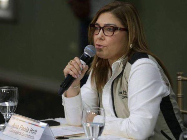 Oficialismo y oposición cruzan acusaciones tras la insistencia de la comisión investigadora en llamar a Ana Paola Hall. Mientras Libre insiste en aclarar el tema, diputados liberales y nacionalistas advierten de intentos por desestabilizar al CNE.
