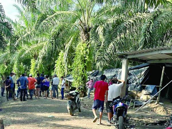 Entre las causas del conflicto, el organismo mencionó la histórica disputa por la tenencia de la tierra.