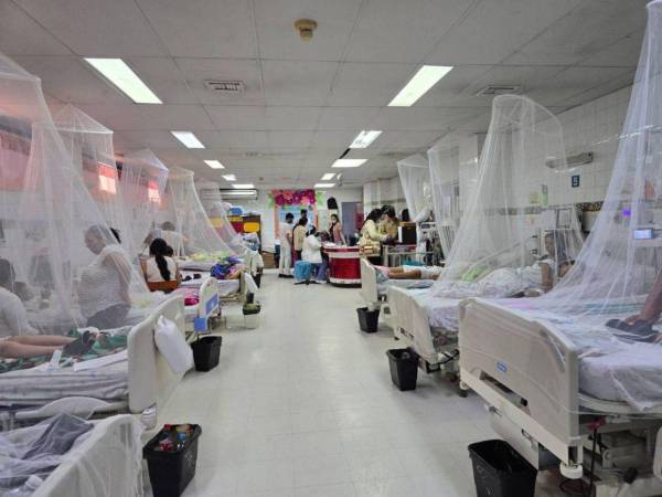 Los más vulnerables a padecer la forma grave de la enfermedad vectorial son los menores de 16 años.