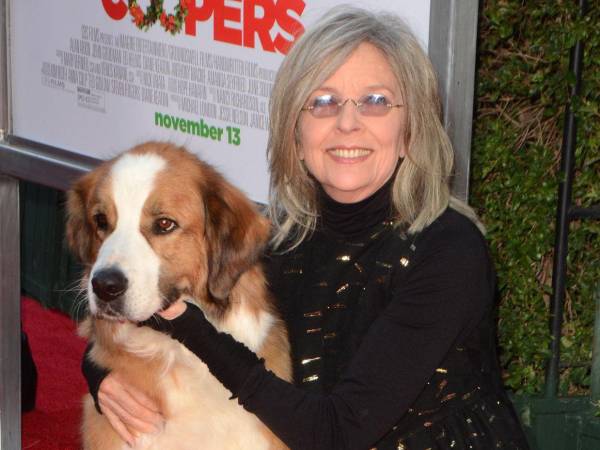 Diane Keaton, la actriz estadounidense que marcó una época con su estilo inconfundible y una carrera de más de cinco décadas, falleció a los 79 años, confirmaron medios especializados. Su familia pidió privacidad y no reveló la causa del deceso, según informó la revista People.