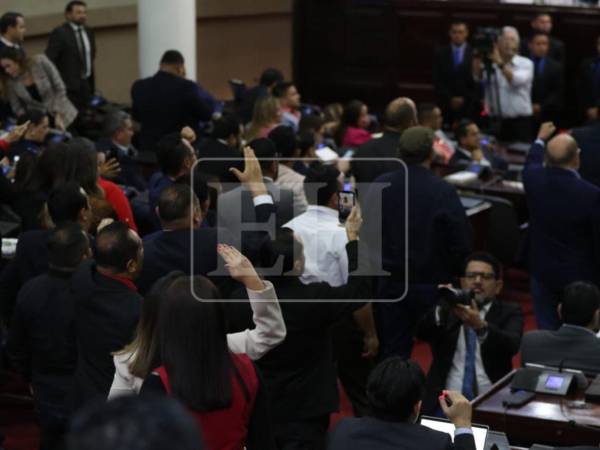 Diputados del Congreso Nacional durante la sesión en la que se aprobó la destitución de funcionarios electorales señalados por irregularidades.