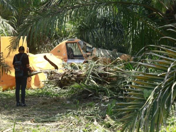 La avioneta de fumigación agrícola cayó en una finca bananera de La Lima, Cortés; el piloto sobrevivió y fue trasladado a un hospital con varias lesiones.