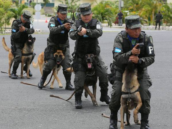 El Batallón Canino de las Fuerzas Armadas tiene 11 años de operación en Honduras.