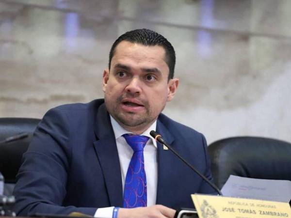 El diputado por el departamento de Valle reafirmó que su compromiso es con la realización de elecciones libres y transparentes el próximo 30 de noviembre.