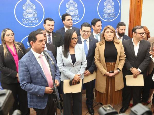 La Comisión Especial de Selección es la encarga de seleccionar a los mejores postulantes.