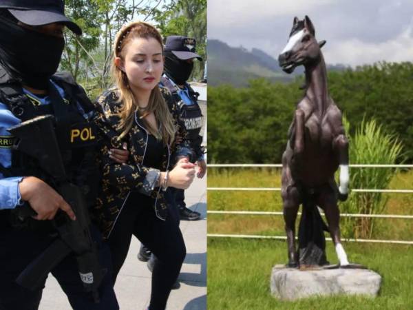 Yosary Yasmín Valle Aguilar, hija de Miguel Arnulfo Valle Valle, uno de los líderes del extinto cártel de los Valle Valle, fue detenida este día. Ella y su familia gozaron de muchísimos lujos, varios de ellos demasiado excéntricos.