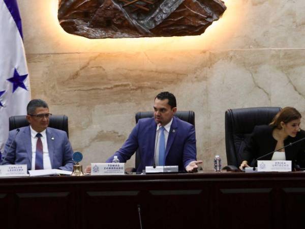 Congreso Nacional busca resolver la mora en la rendición de cuentas que arrastra el órgano fiscalizador.