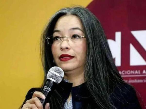 La abogada consideró que las instituciones competentes deben revisar la información disponible y determinar la legalidad de la permanencia de trabajadores extranjeros.