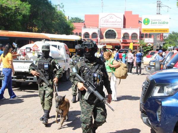 Efectivos de las Fuerzas Armadas acompañados de caninos realizan inspecciones en las terminales de transporte interurbano de las principales ciudades del país.