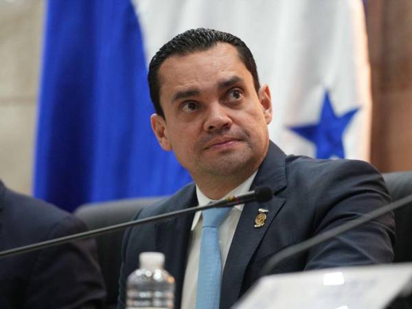 El presidente del Congreso Nacional, Tomás Zambrano, afirmó que la elección será basada en méritos.