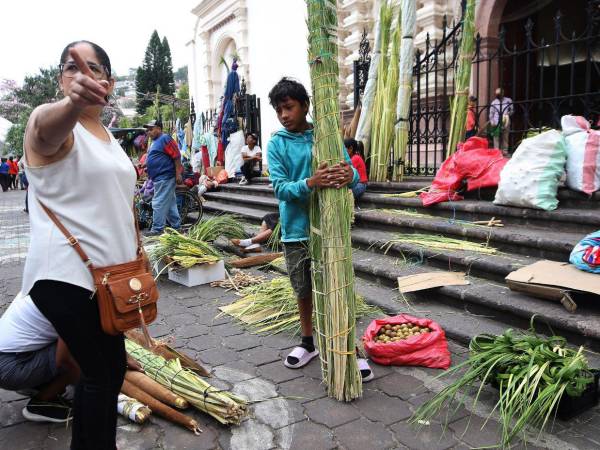 Desde municipios cercanos, emprendedores llegan al centro capitalino para vender ramitos de olivo, símbolo de fe previo a la Semana Santa.
