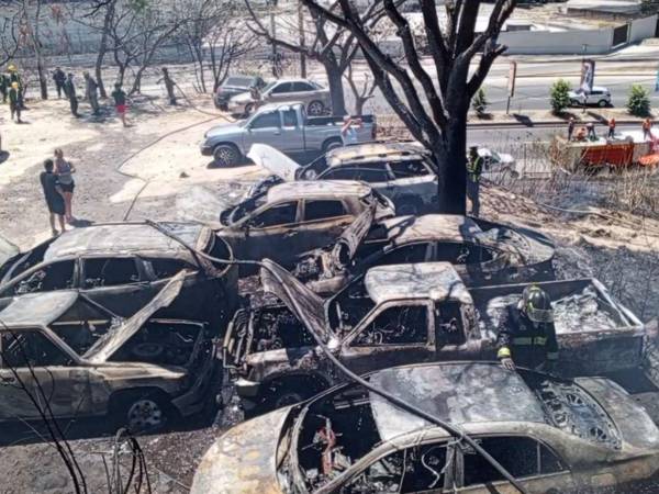 Un voraz incendio que se desató en la colonia Calpules, arrasó con alrededor de 19 vehículos.