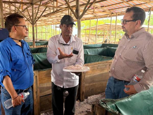 Autoridades de la SAG recorrieron las zonas afectadas por las inundaciones para conocer de primera mano las necesidades de los productores.