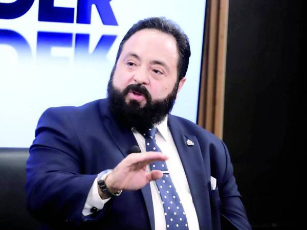 Redondo señaló que la implementación de este mecanismo no está sujeta a control jurisdiccional, y el decreto que lo apruebe no requiere sanción del Poder Ejecutivo.