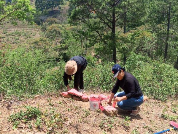 Personal especializado del Instituto de la Propiedad, realizan el levantamiento de la información en el municipio de Tatumbla, Francisco Morazán.