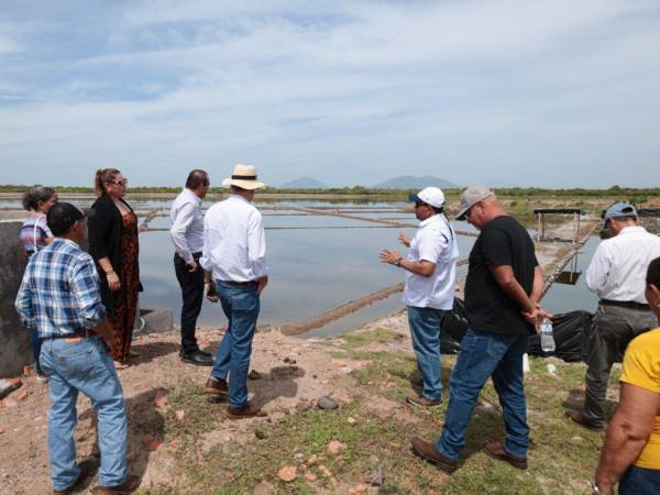 Por primera vez en la historia, los productores de sal de la zona sur del país son beneficiados con apoyo económico por parte del gobierno para impulsar y mejorar este rubro.