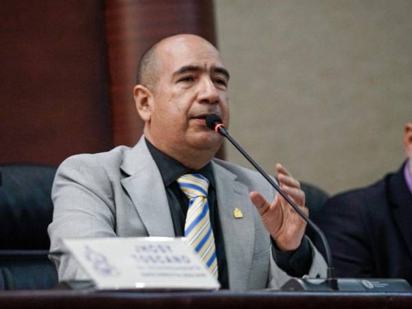 El proyecto fue presentado por el diputado del Partido Demócrata Cristiano (DC), Godofredo Fajardo.