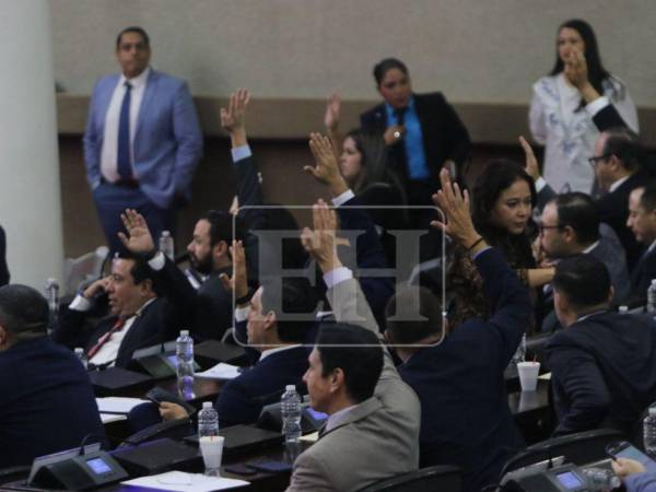 Preliminarmente, se maneja que el Poder Judicial podría disponer de un periodo de dos semanas para entregar sus valoraciones legales.