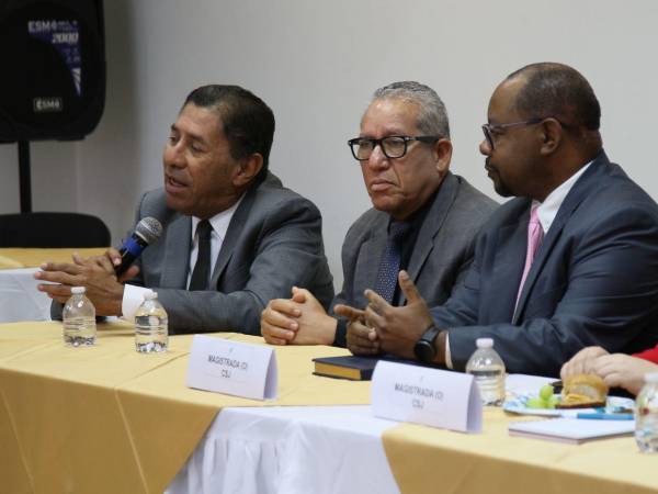 Funcionarios del pleno del órgano apuntaron que se mantienen en una fase de espera positiva, mientras se define si se llevará a cabo este proceso que podría esclarecer la administración de Raquel Obando, y si el caso lo señala, determinar eventuales responsabilidades.