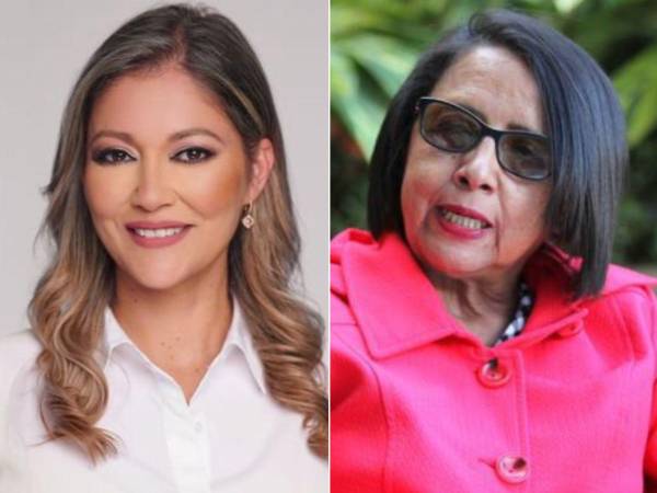 La periodista y defensora de derechos humanos, Dina Meza, denunció que la secretaria de Derechos Humanos, Leda Lizethe García Pagán, se mostró agresiva y estigmatiza las organizaciones.